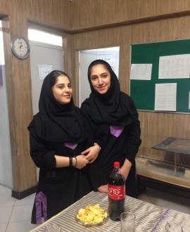 نهار دسته جمعي